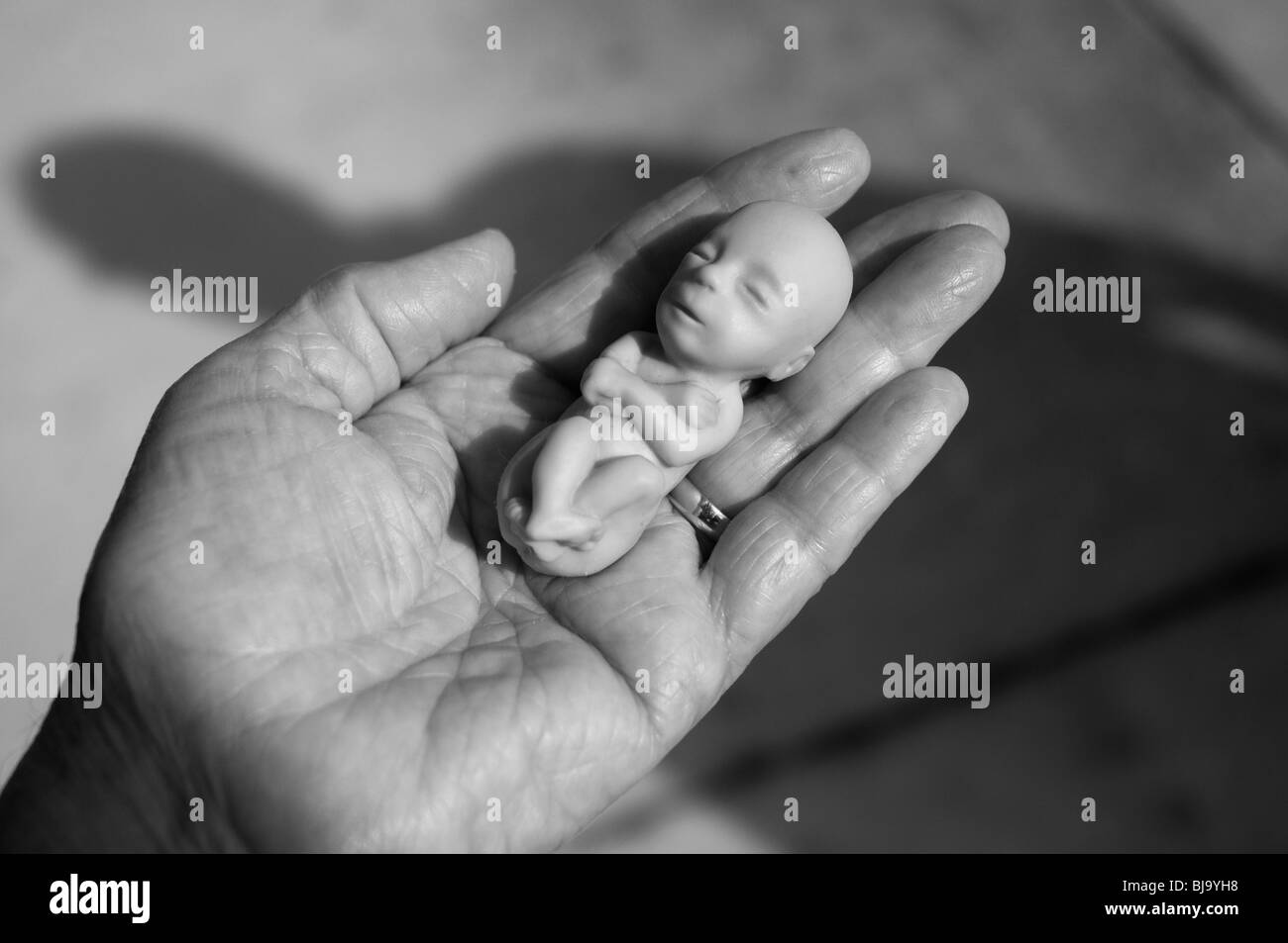 Modell der 12 Wochen alten Fötus in weiblicher Hand gehalten Stockfoto