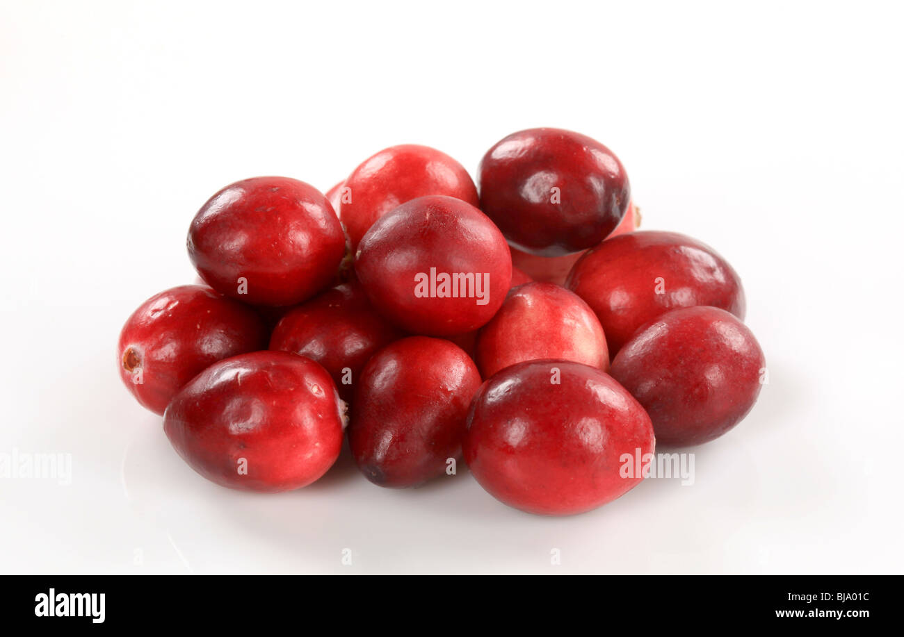 Haufen von frische cranberries Stockfoto