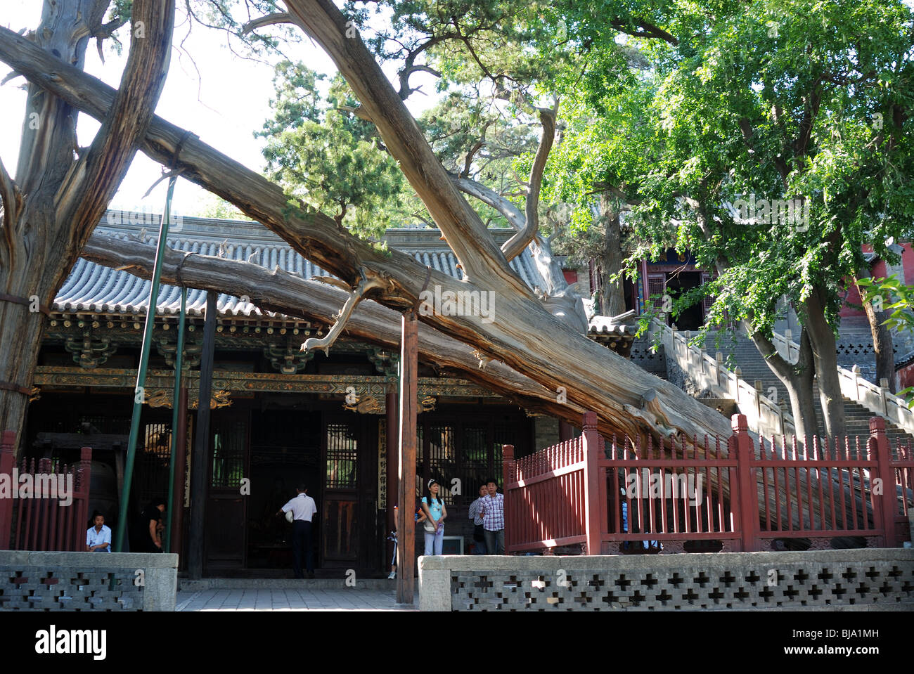 "Jinci', der alte buddhistische Tempel, liegt an der Quelle des Flusses Jin Xuanweng Mountain 25km südwestlich von Taiyuan. Stockfoto