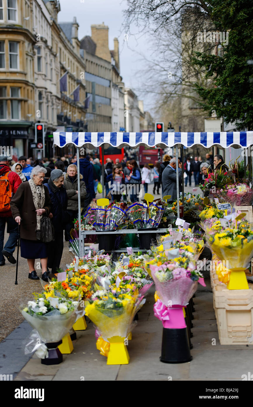 Die Blumenverkäuferin Stockfoto