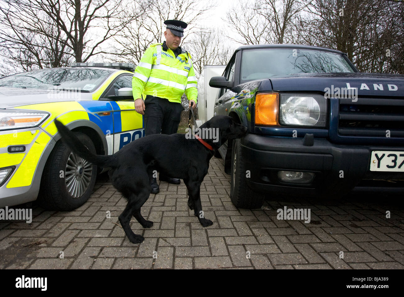 Polizist arbeitet ein Drogen-Suchhund Stockfoto