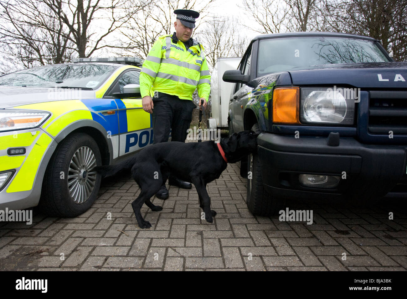 Polizist arbeitet ein Drogen-Suchhund Stockfoto