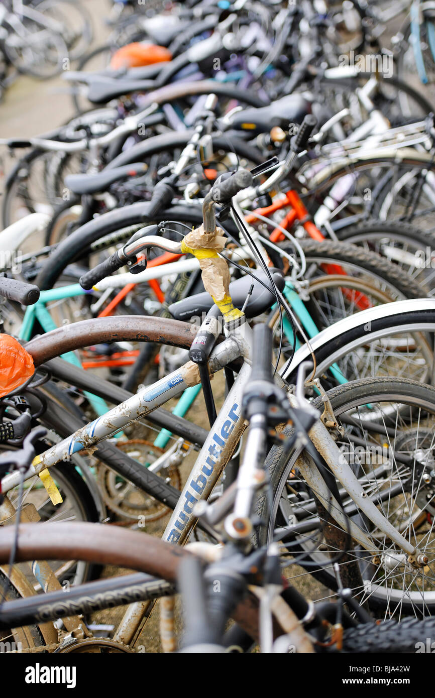 Fahrradpark Stockfoto