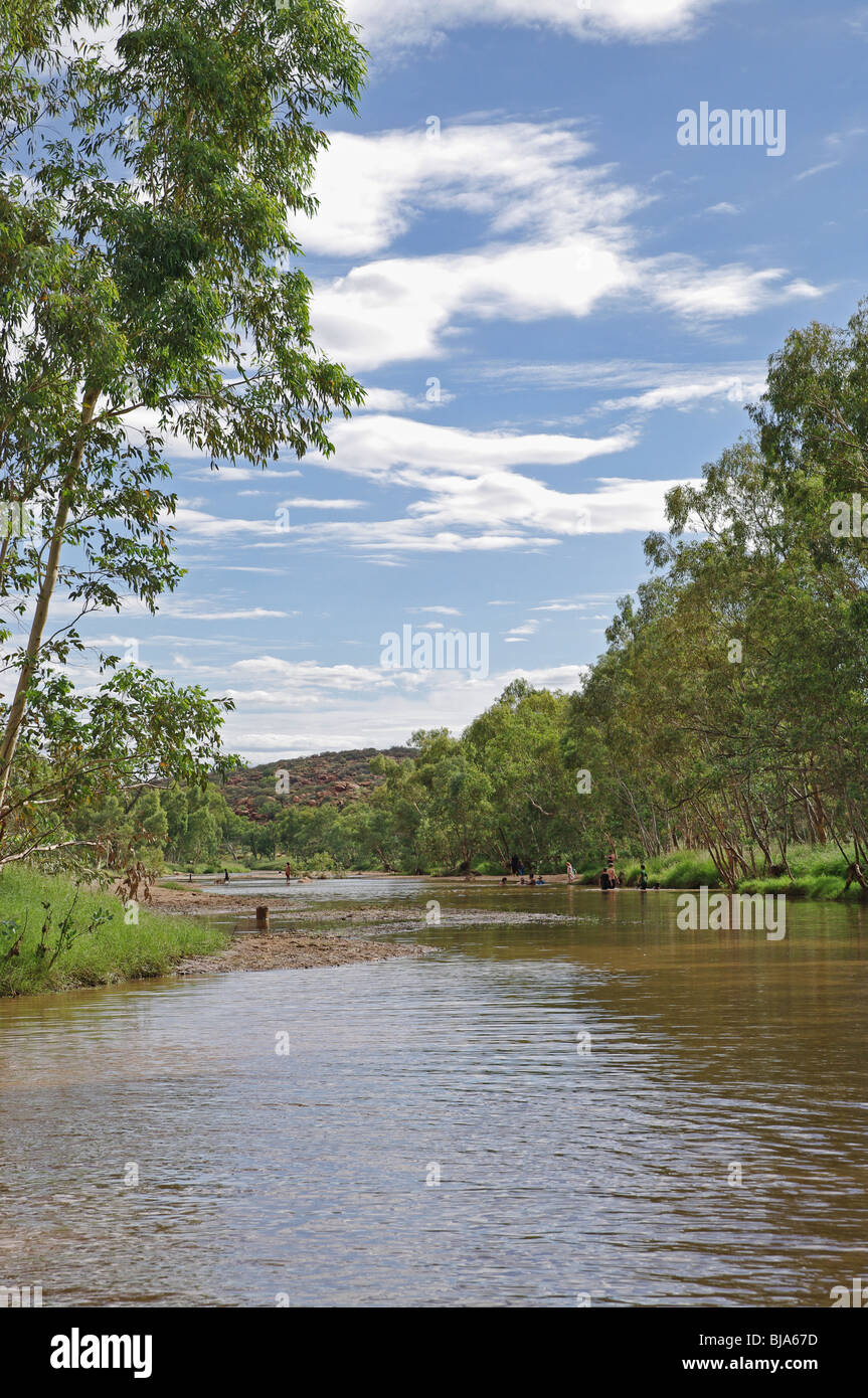 Schwimmen im Fluss Todd in Alice Springs Stockfoto