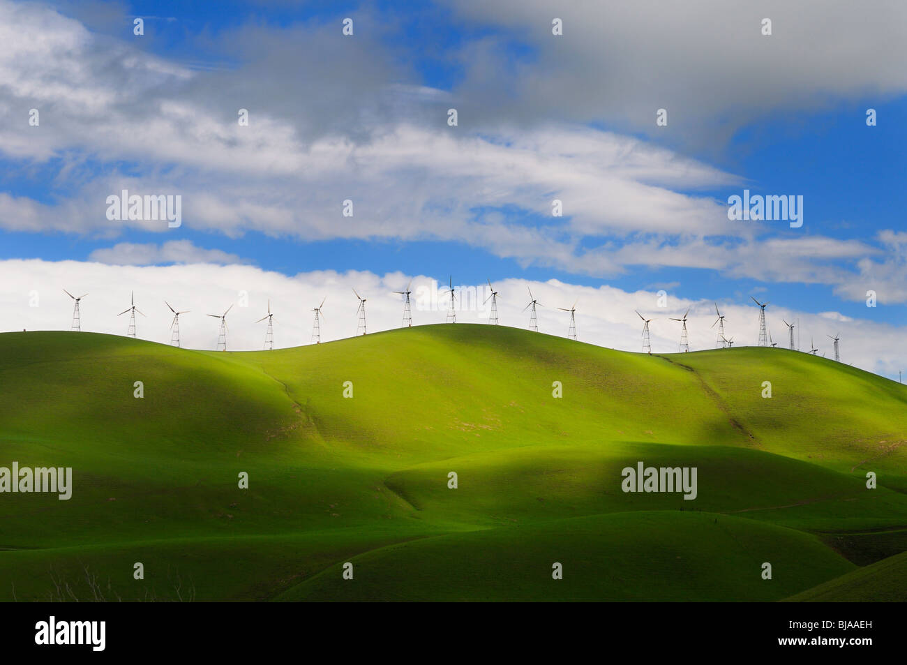Winter Sonne auf die sanften grünen Hügel der Turbinen Altamont Pass wind Farm in Kalifornien, USA Stockfoto