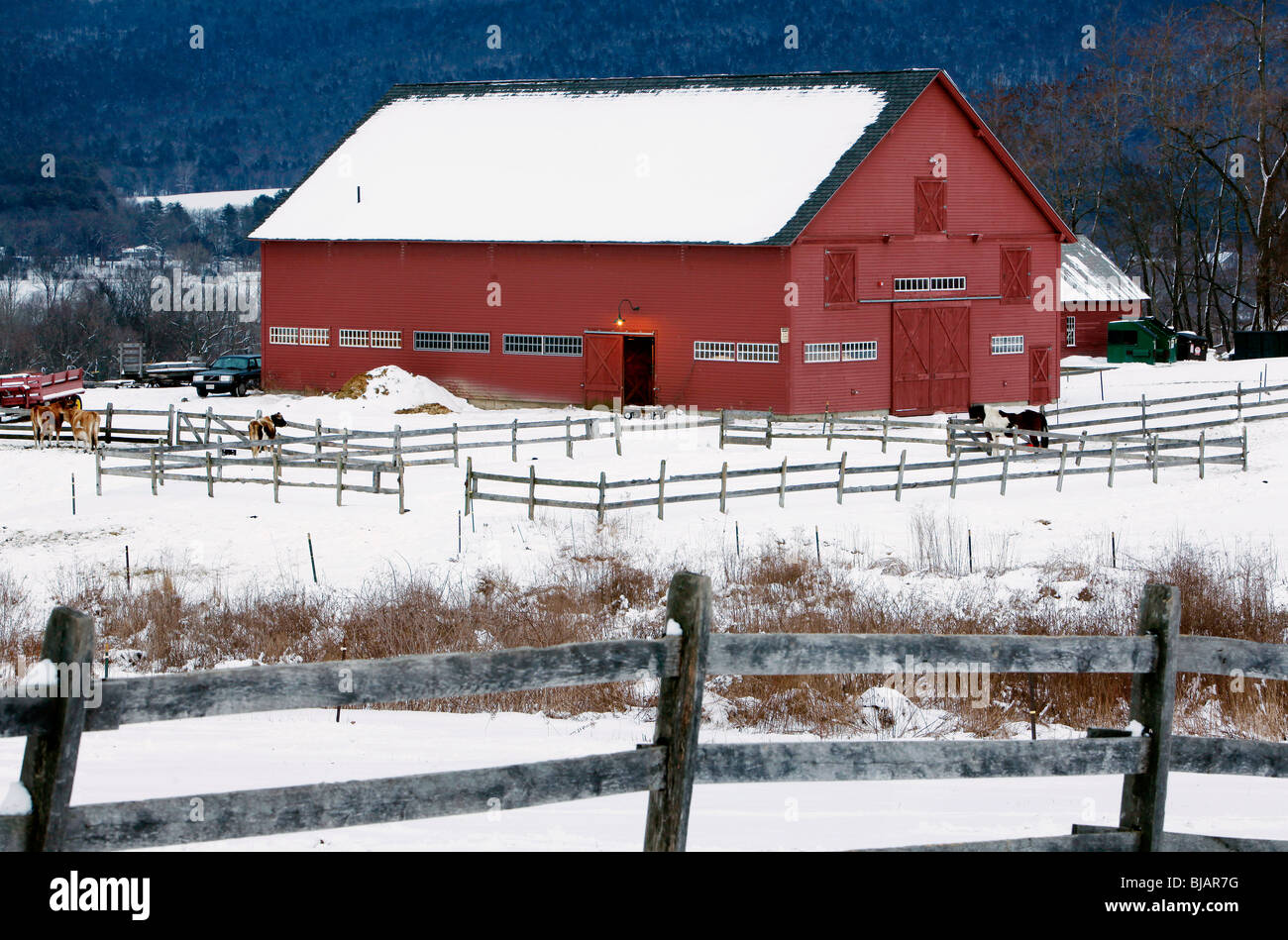 Rote Scheune Hof Winter Neuenglands westlichen Massachusetts Stockfoto