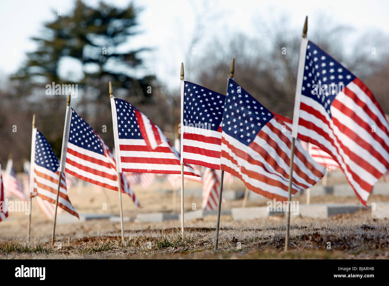 Vereinigt Staaten Flaggen auf Grabstellen auf einem Militärfriedhof, Providence, Rhode Island Stockfoto