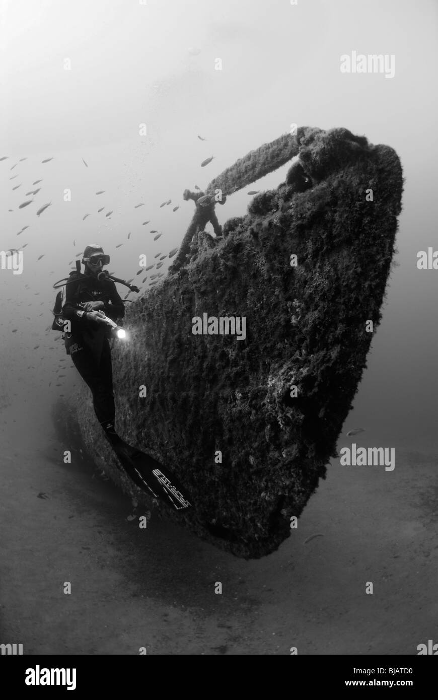 Taucher, die Erkundung der Rubis-Wrack im Mittelmeer Stockfoto