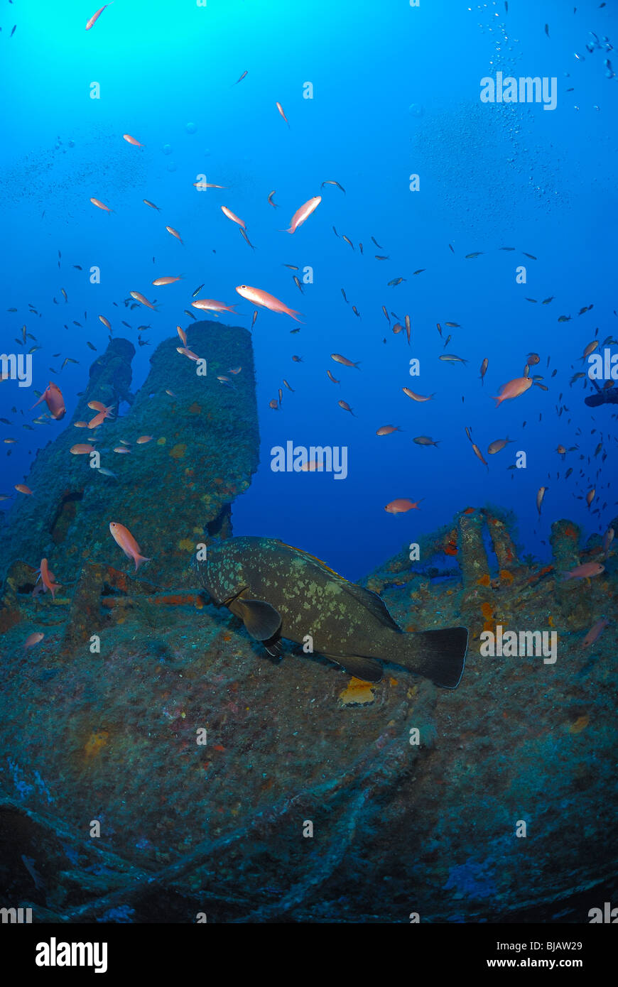 Rubis u-Boot-Wrack im Mittelmeer Stockfoto