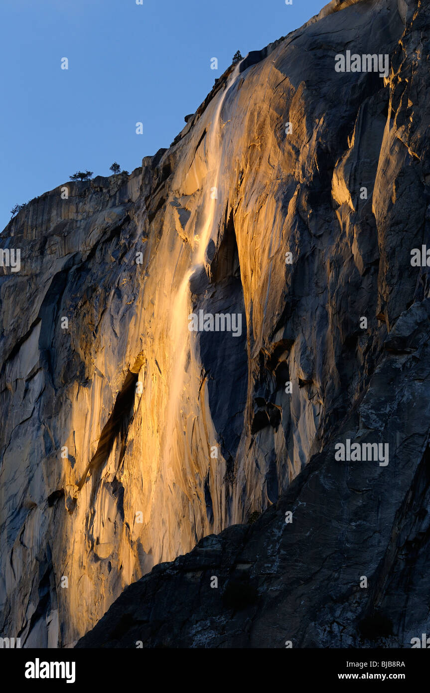 Schachtelhalm fällt am El Capitan beleuchtet durch die letzte orangenen Sonnenstrahlen im Yosemite-Nationalpark, Kalifornien USA Stockfoto