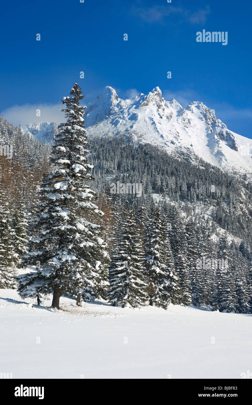 Winter Berglandschaft mit blauem Himmel, Tatra-Gebirge, Polen Stockfoto