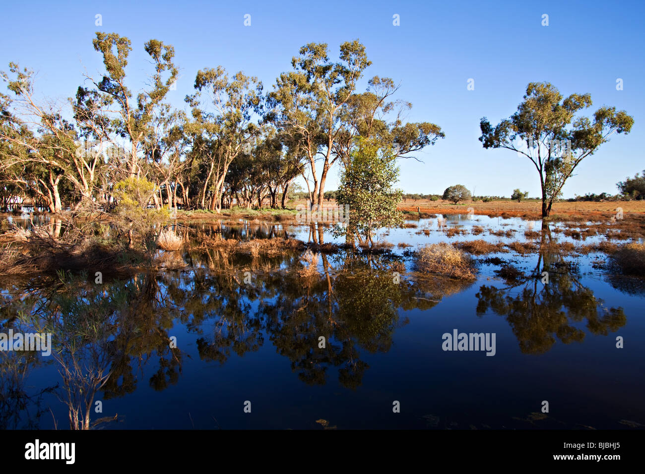 Wasser im australischen Outback nach Überschwemmungen, New South Wales Australien Stockfoto