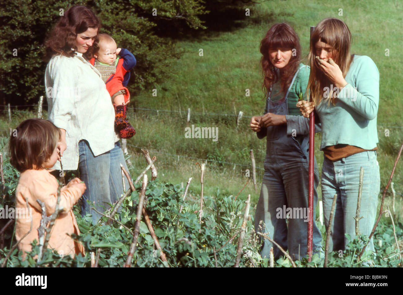 Frauen und Kinder essen Erbsen in einer Hippie-Kommune von 1970s in einem kommunalen Gemüsegarten Hippies, die Gemüse in der Kommune in Wales anbauen Stockfoto