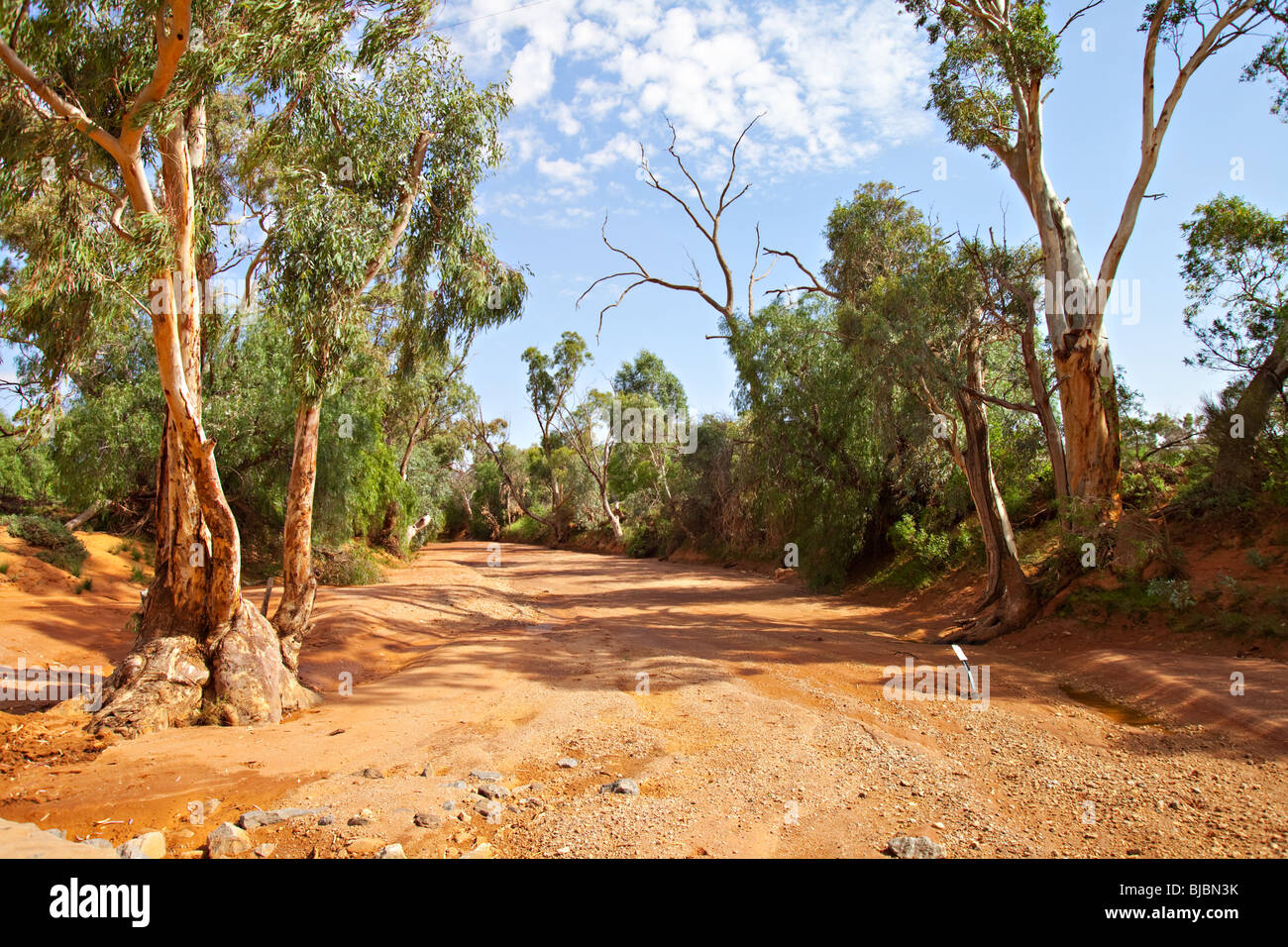 Ausgetrocknete Flussbett, Silverton, NSW, outback Australien Stockfoto