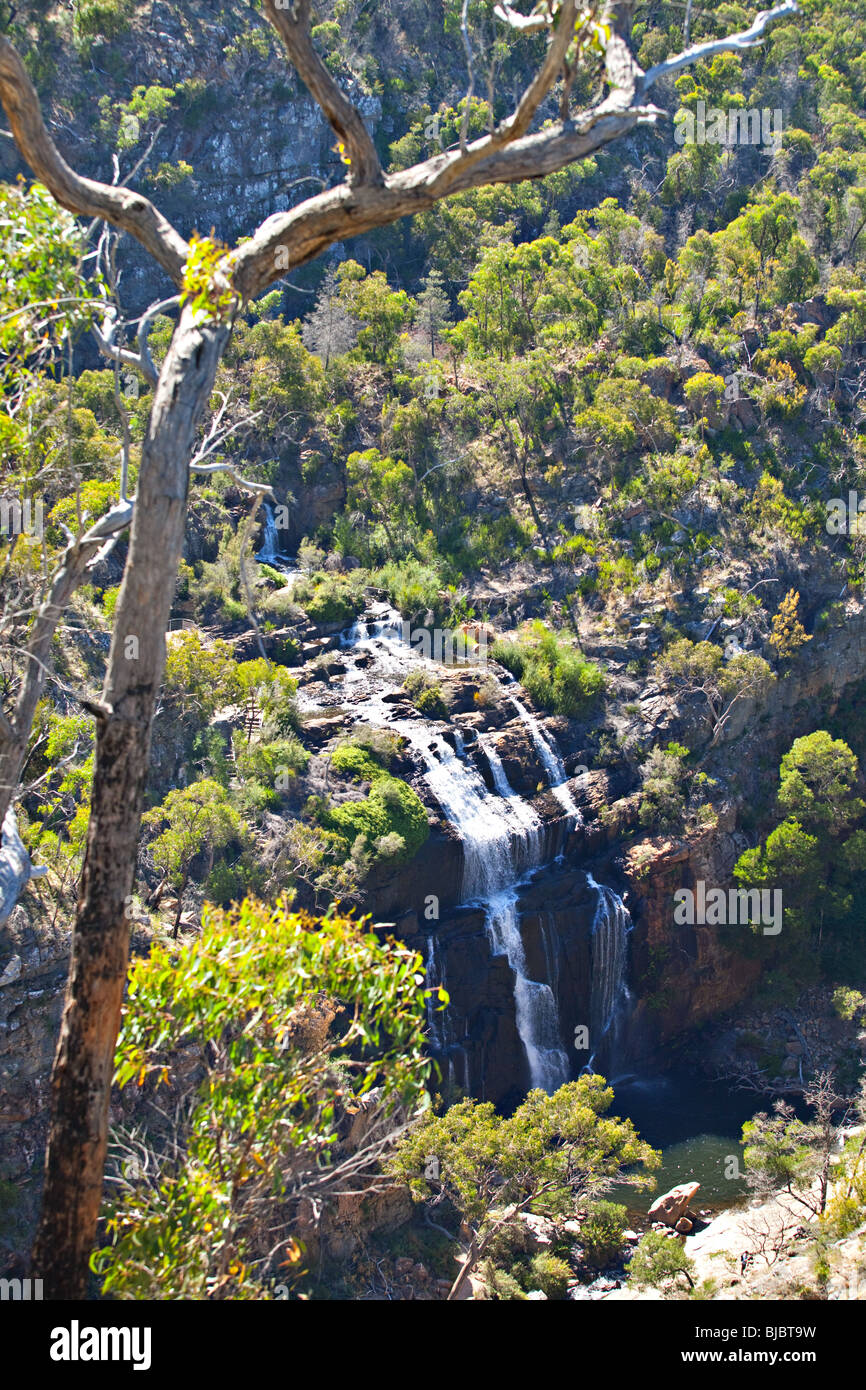 Mackenzie Falls, Grampians Nationalpark, Victoria, Australien Stockfoto