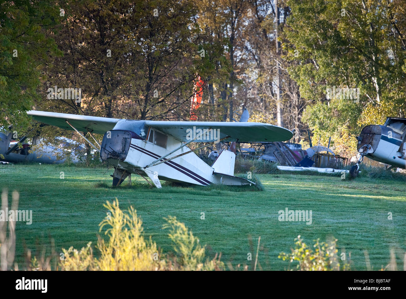 Ein Flugzeug-Friedhof in dem Land, zeigen viele Stücke von alten Prop Flugzeuge in einem Feld. Stockfoto