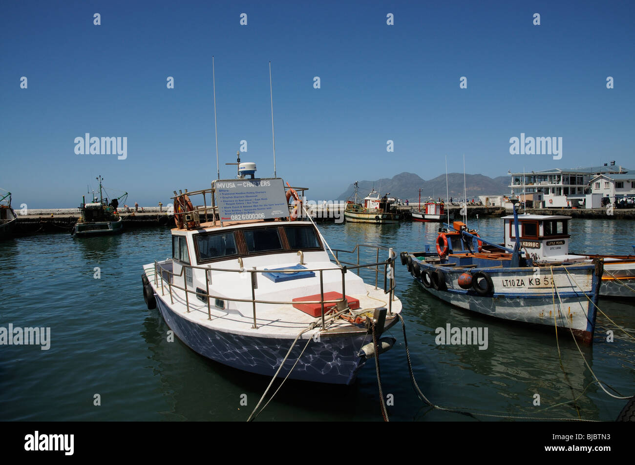 Charter-Boot in den Hafen von Fish Hoek S Africa Stockfoto