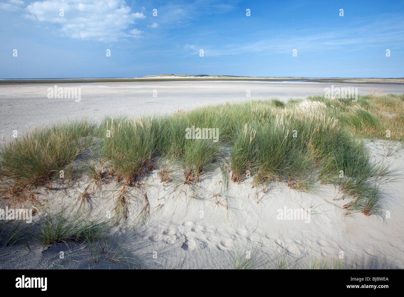 Mündung De Slufter Narture Reserve, bei Ebbe, Insel Texel, Holland Stockfoto