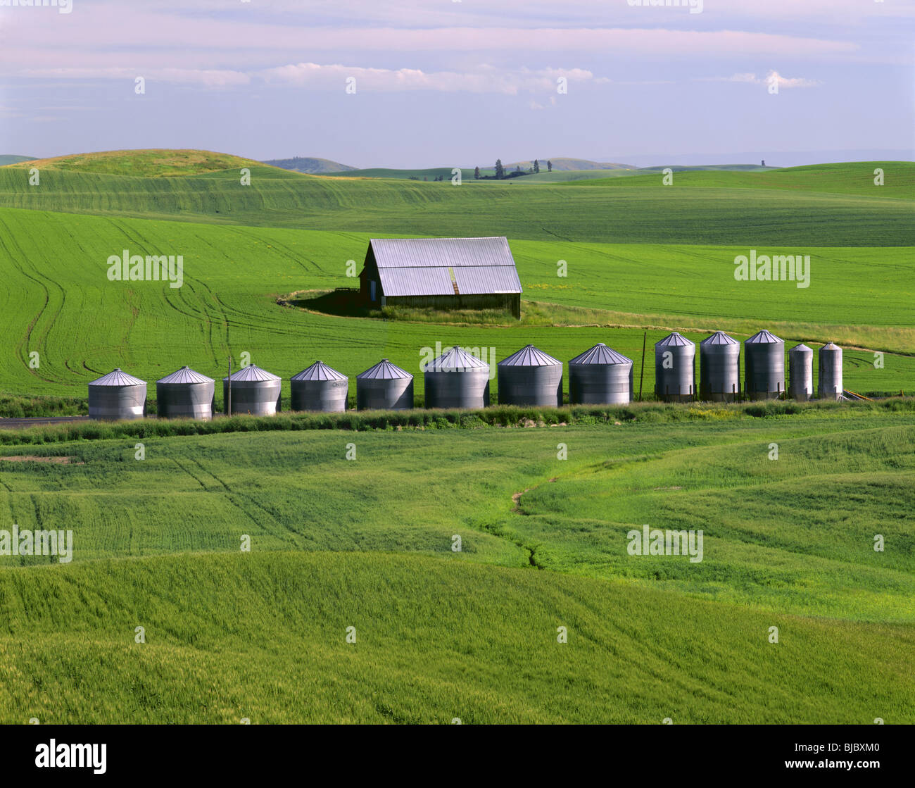 WASHINGTON - Scheune und Getreide silos zu den Feldern des fruchtbaren Palouse Region Eastern Washington. Stockfoto