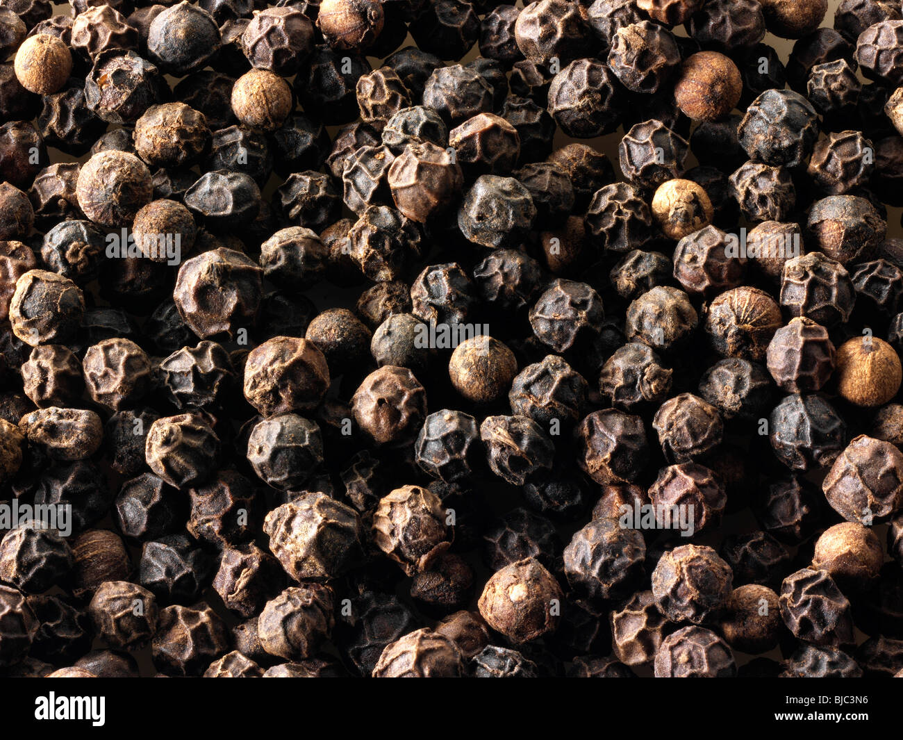 Schwarzer Pfeffer Hühneraugen Stockfotos Stockfoto