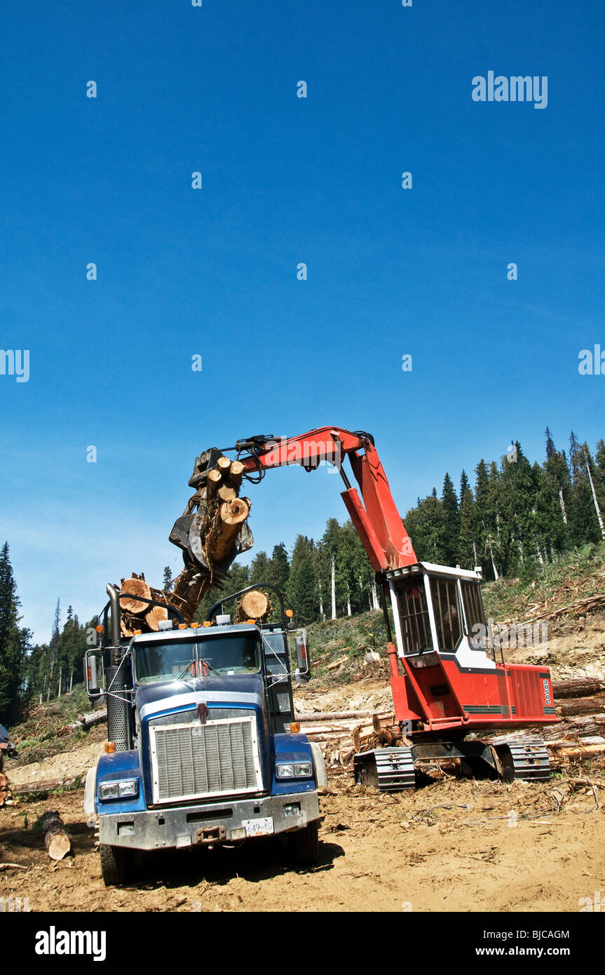 Lade einen Logging Truck Stockfoto