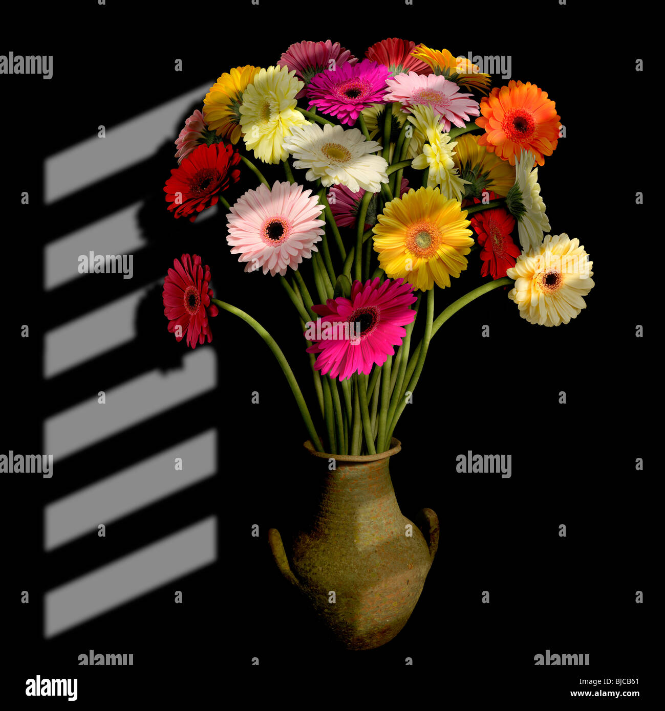 Bouquet von mehrfarbigen Gerbera mit Lichteffekt Stockfoto