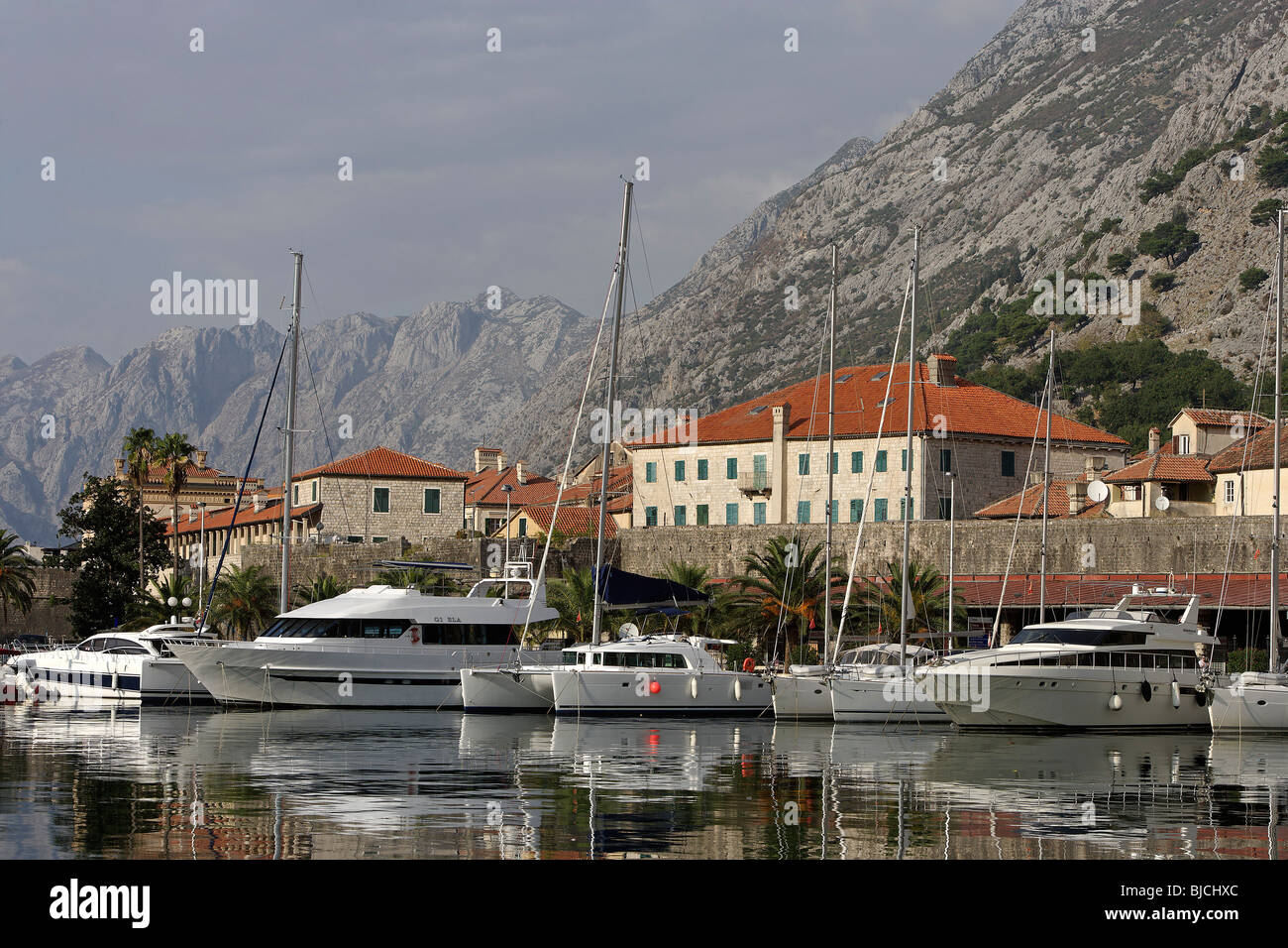 Kotor, Altstadt, Yachthafen, Hafen, Bucht von Kotor, Montenegro Stockfoto