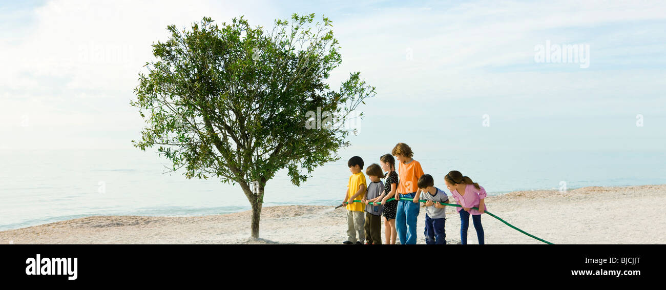 Ökologie-Konzept, Kinder Bewässerung Baum zusammen Stockfoto