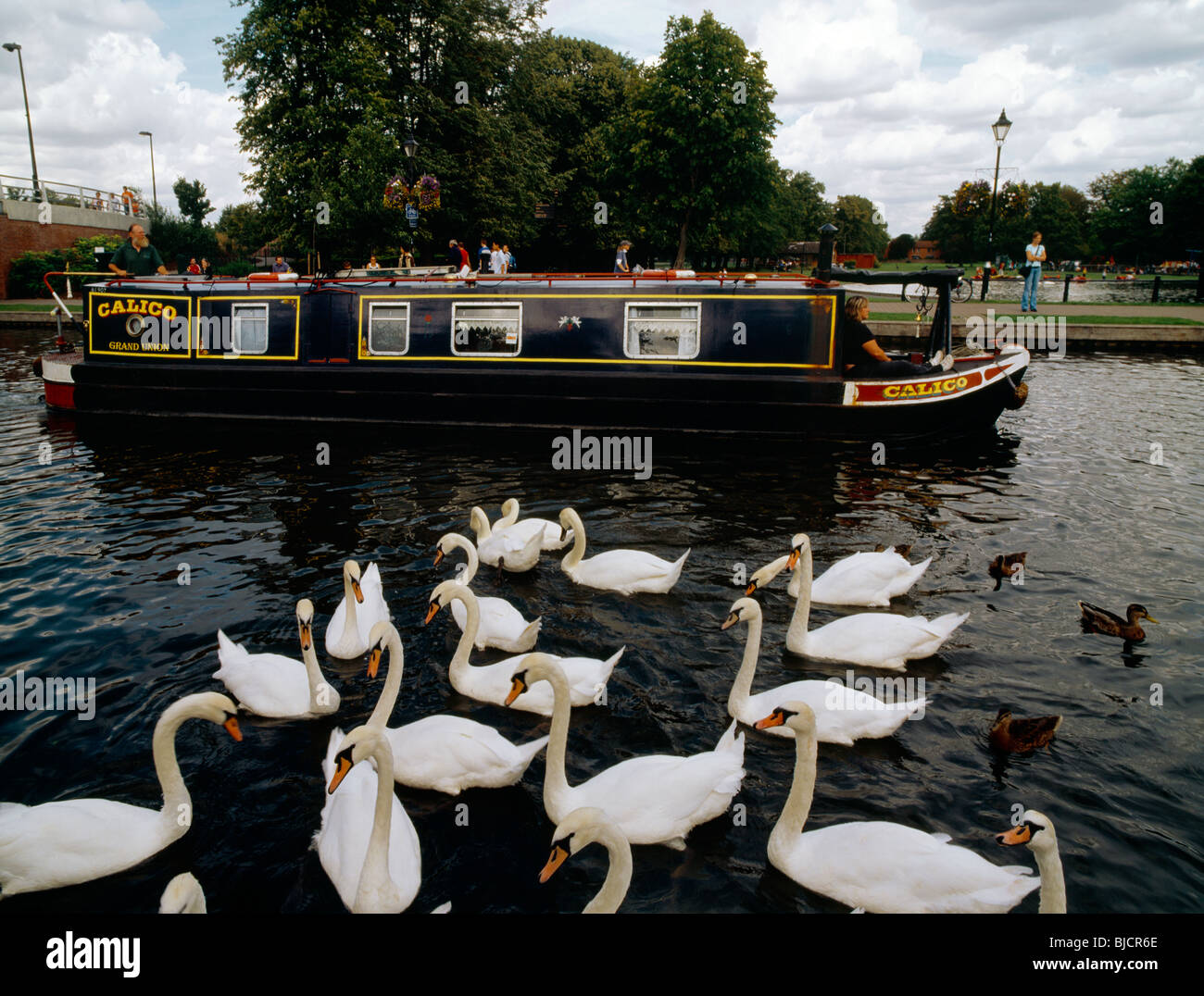 Kennet & Avon Canal Boat & Schwäne in Bradford auf Avon England Stockfoto