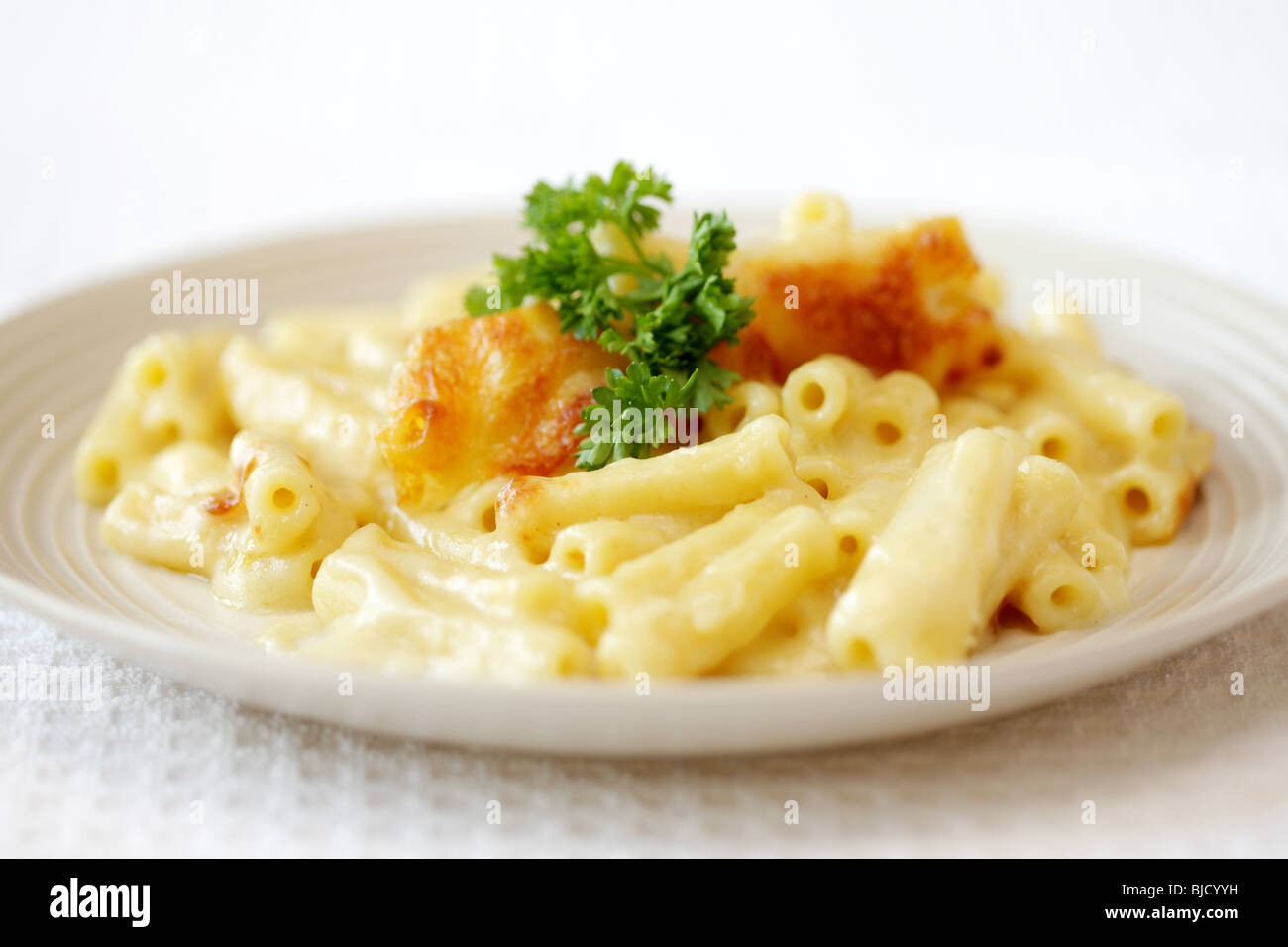 Frisch zubereiteten italienischen Stil Makkaroni Käse Pasta Mahlzeit ohne Menschen Stockfoto