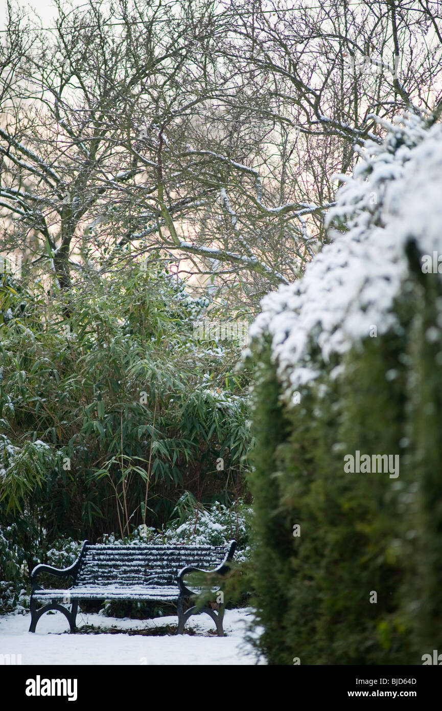 Abgeschiedenen Garten mit Schnee bedeckt, Sträucher und Garten-Sitzplatz Stockfoto