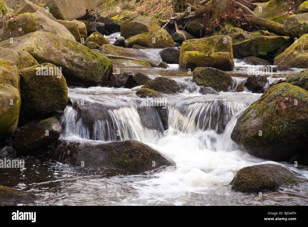 Malerische Padley Schlucht Derbyshire Peak District England Stockfoto