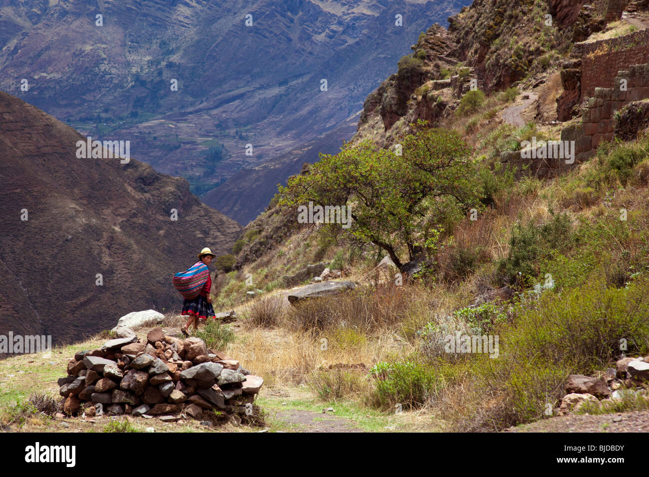 Heiliges Tal in der Nähe der Ruinen von Pisaq, Peru, Südamerika Stockfoto