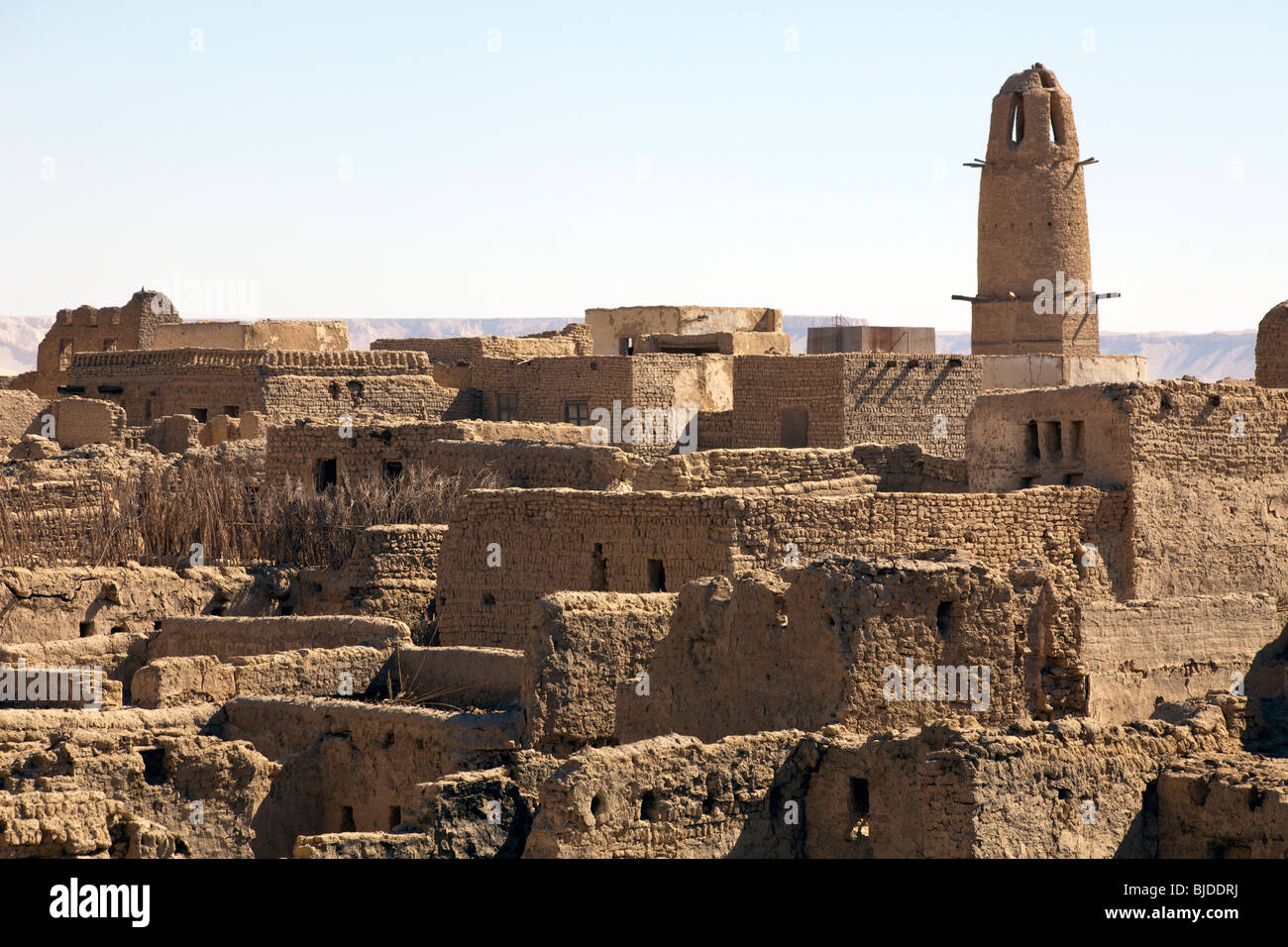 Blick über al Qasr Oase in Richtung Minarett der Moschee, westliche Wüste, Ägypten Stockfoto