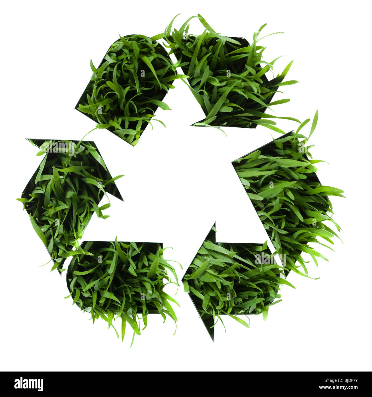 Recycling-Symbol mit Rasen wächst in ihm. Stockfoto