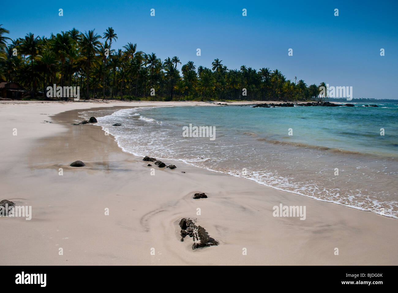 Tropischer Strand Stockfoto