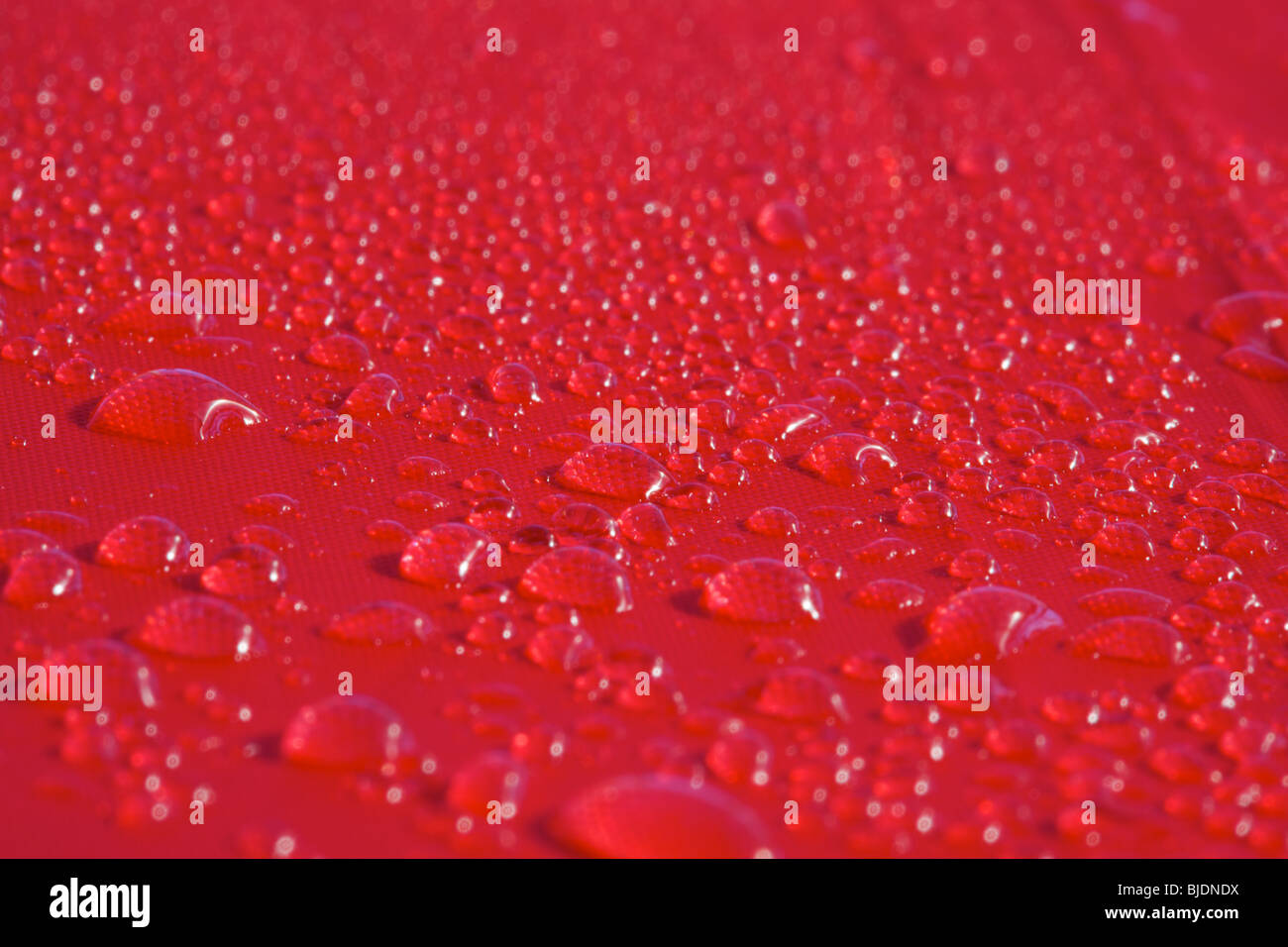 Wassertropfen auf der Oberfläche der roten umberella Stockfoto