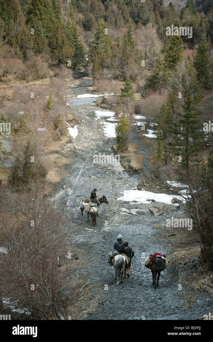 Pferd-Wanderer auf den Bergen in der Nähe von Songpan Stadt, Szechuan, China. Stockfoto