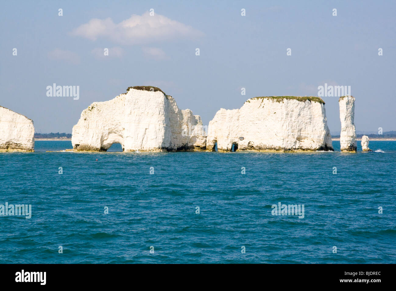 Old Harry Rocks Meer, Dorset England UK Stockfoto