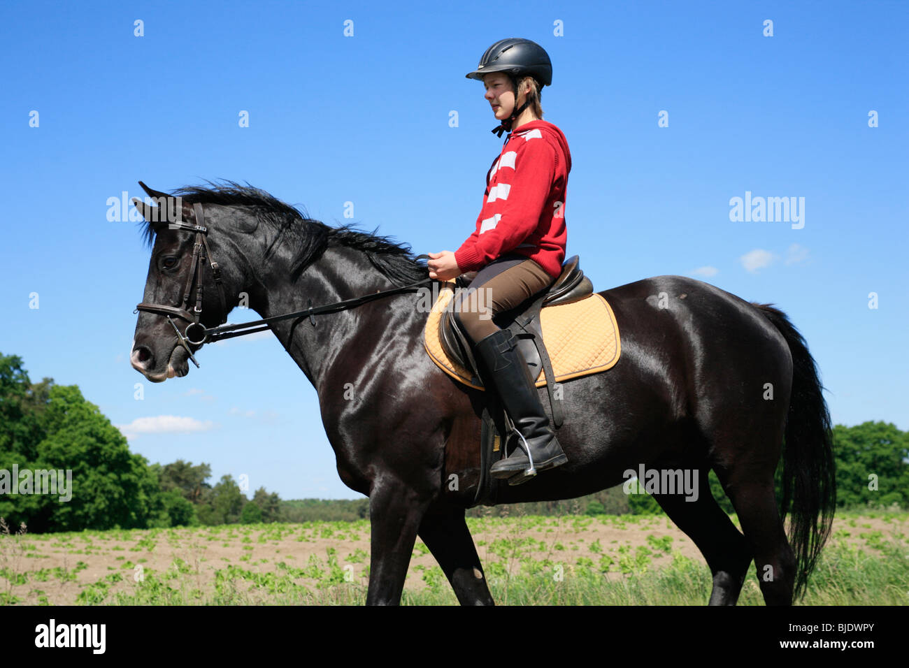 Teenager-jungen schwarzen Hengst Reiten Stockfoto