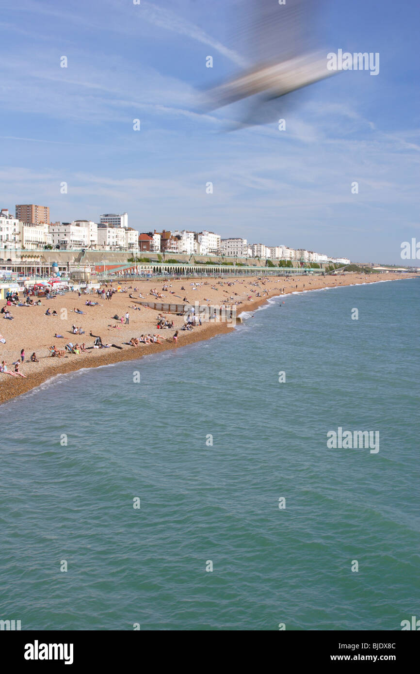 Brighton-Küste Stockfoto