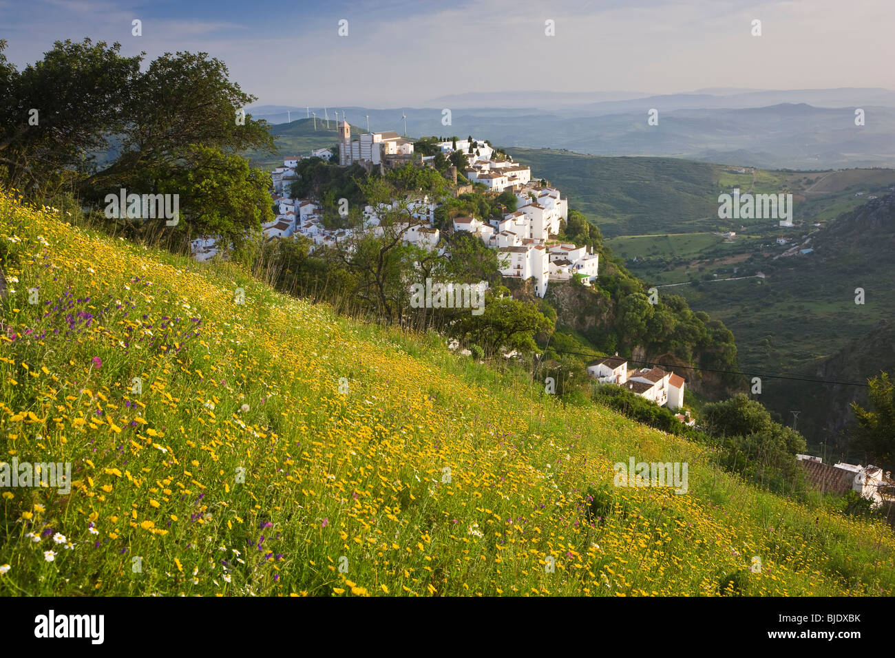 Casares, Andalusien, Spanien Stockfoto