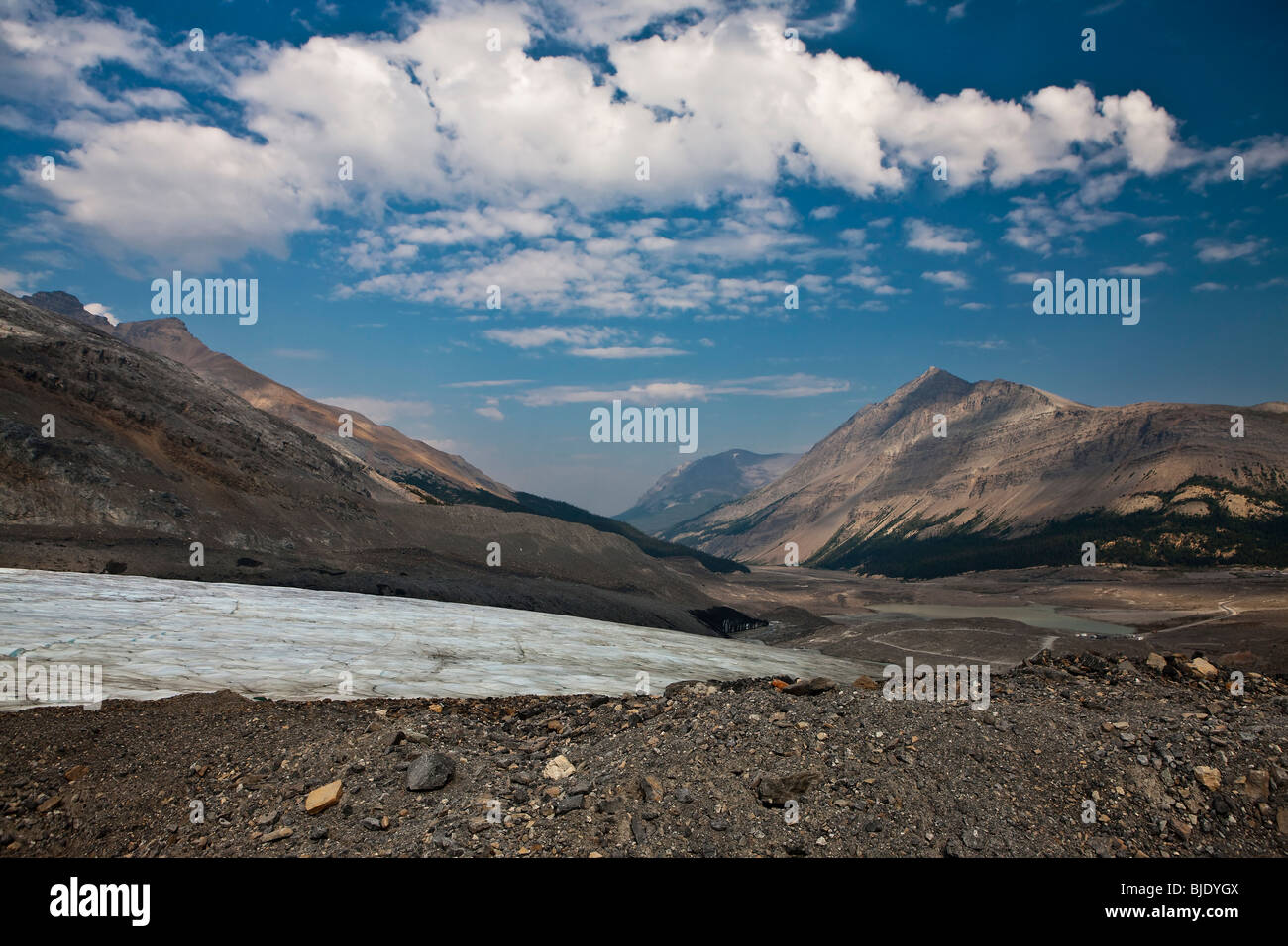 Spitze des RecedingColumbia Eis-Gletscher - Jasper Nationalpark, Alberta - Kanada Stockfoto