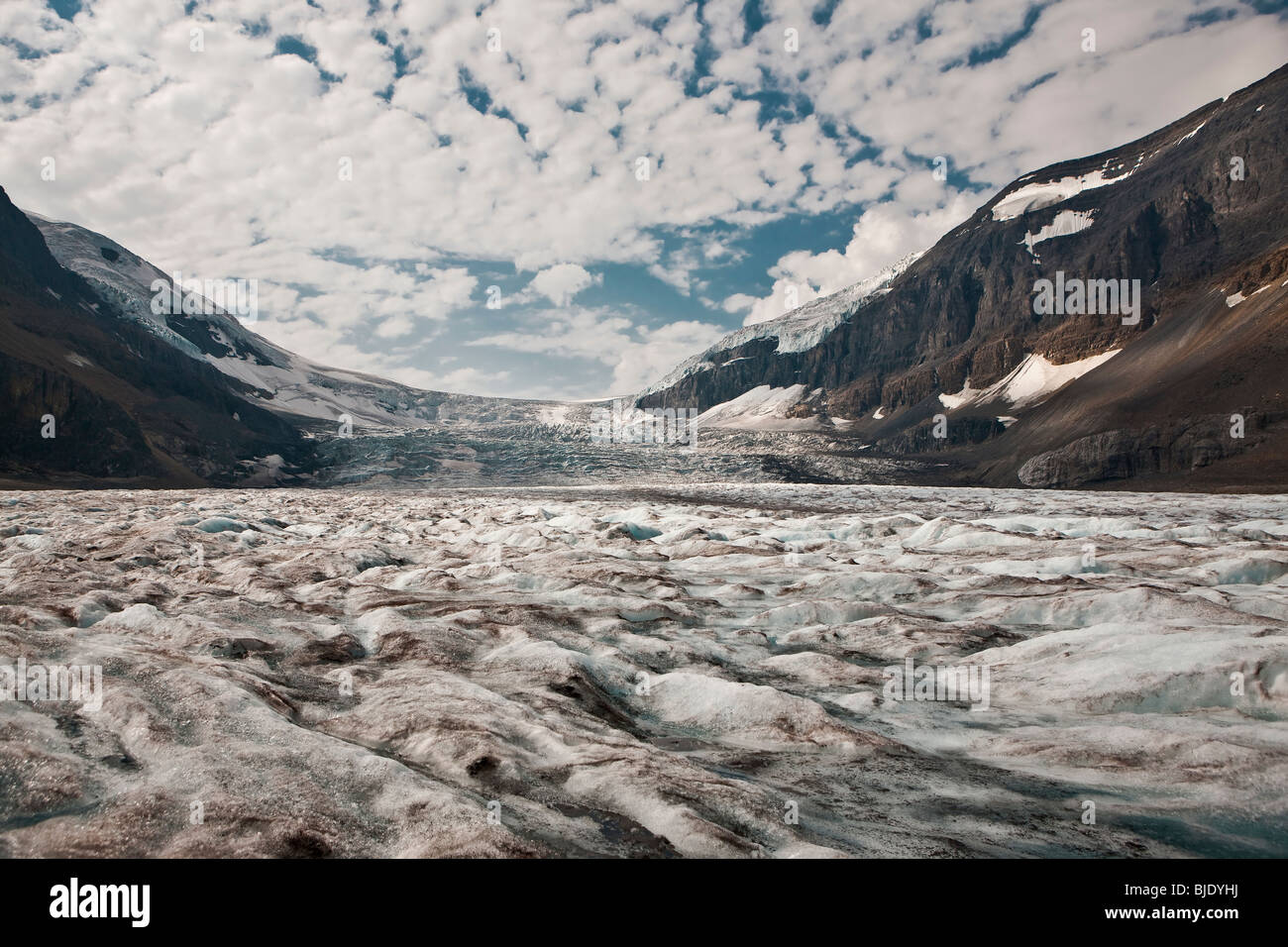 Columbia Icefield - Jasper Nationalpark, Alberta - Kanada Stockfoto
