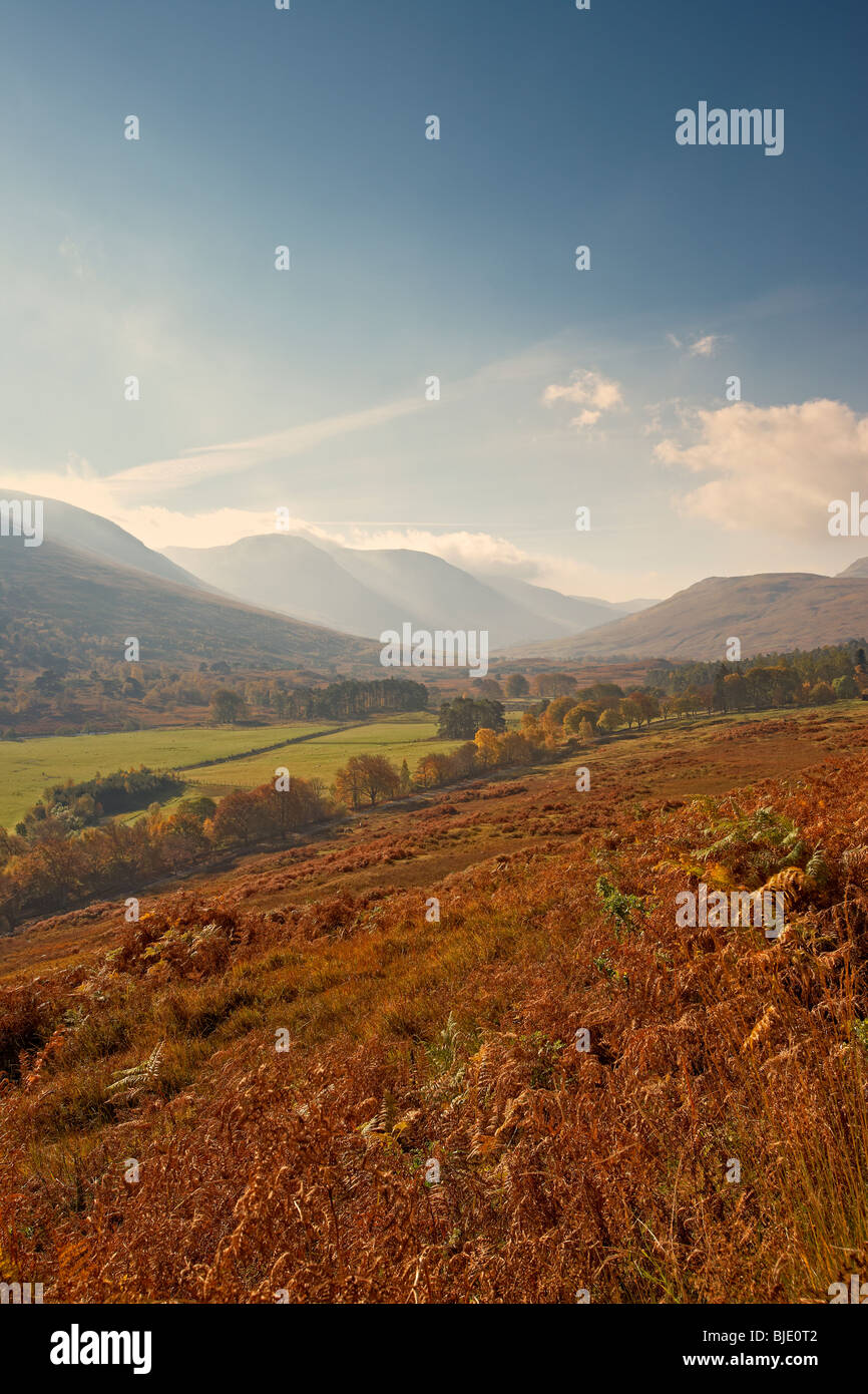 Herbst in Glen Lyon, Perthshire Schottland, Vereinigtes Königreich Stockfoto