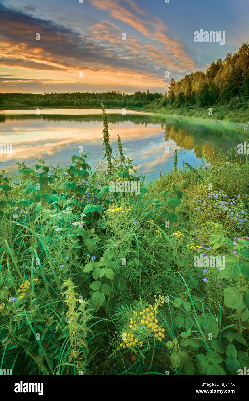 Wald See bei Sonnenaufgang, vertikal, Chickakoo Lake Recreation Area, Parkland County, Alberta, Kanada Stockfoto