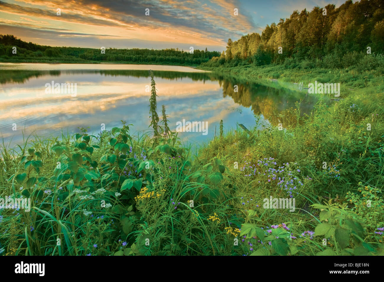 Wald See bei Sonnenaufgang, Chickakoo Lake Recreation Area, Parkland County, Alberta, Canada Stockfoto