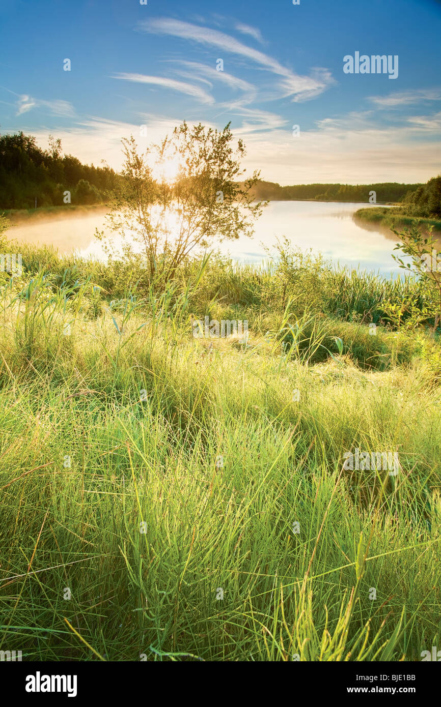 Licht des frühen Morgens in Chickakoo Lake Recreation Area, Parkland County, Alberta, Kanada Stockfoto