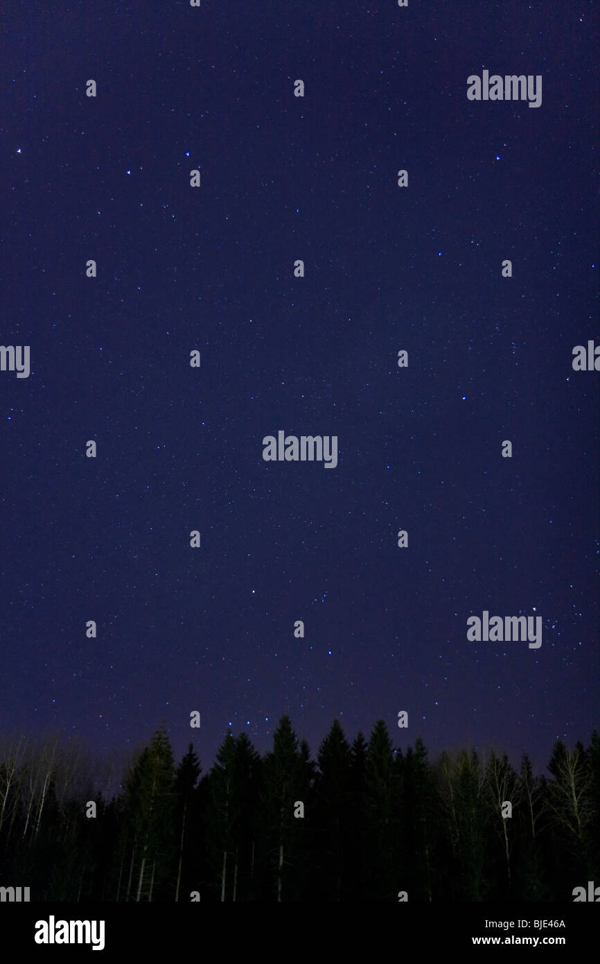 Sterne auf einem klaren, dunklen blau, Nacht-Himmel. Silhuette der Hölzer in den Boden. Stockfoto