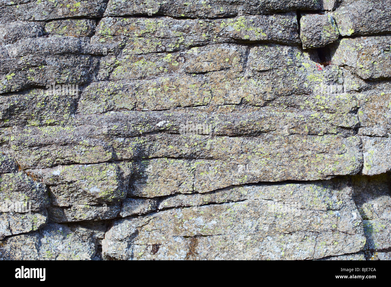 Rock mit Flechten, Risse und Flecken bedeckt Stockfoto